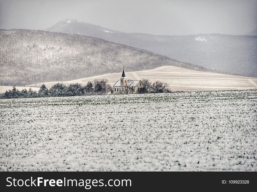 Snow Covered Field