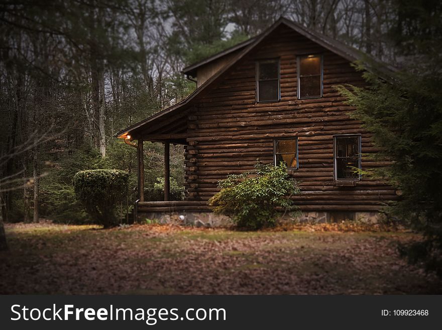 Brown Cabin in the Woods on Daytime