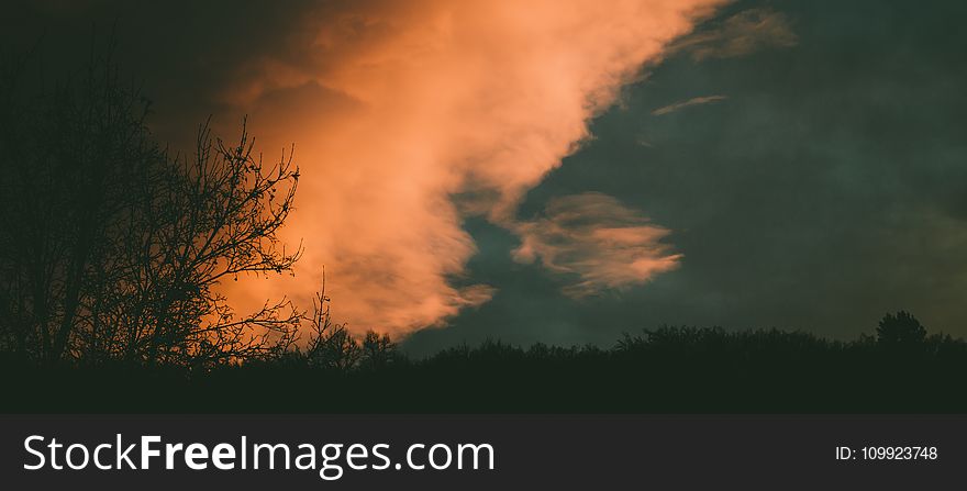 Silhouette of Trees Under Blue Sky With White Clouds