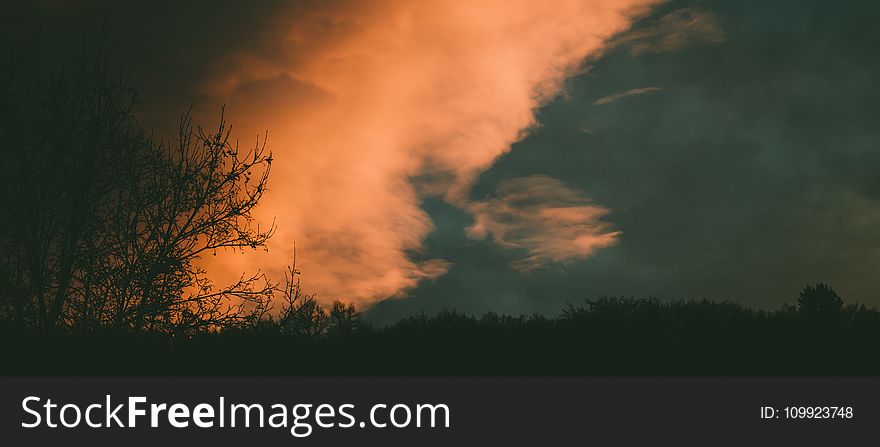 Silhouette Of Trees Under Blue Sky With White Clouds