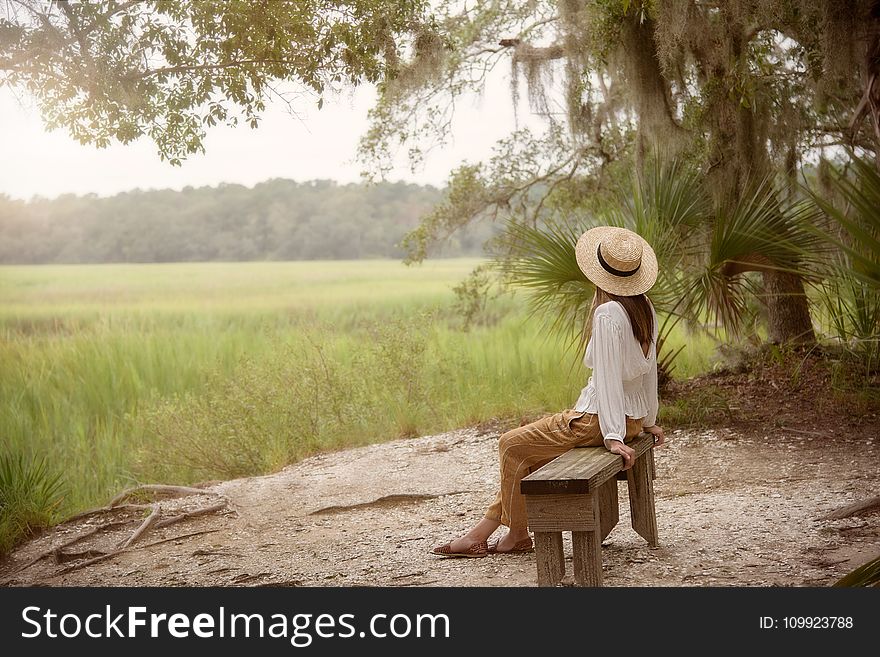 Woman Sitting on Bench Near Forest and Grass