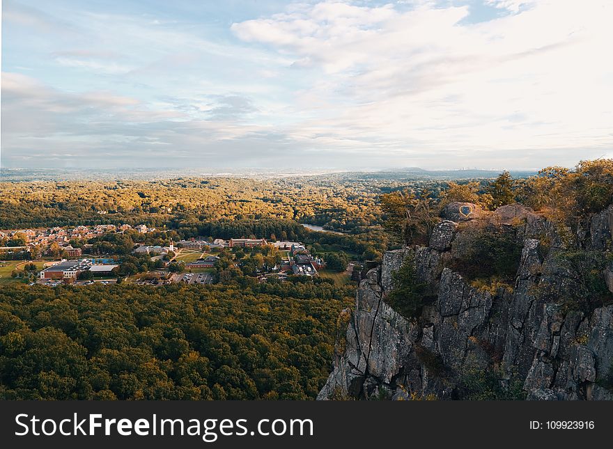 Gray Rock Formation And Trees