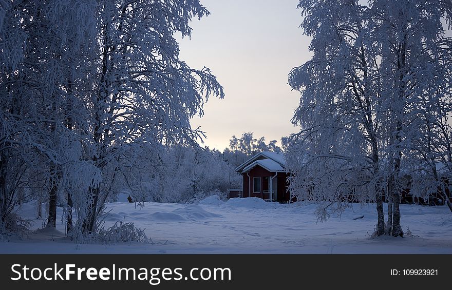 House With Snowfield