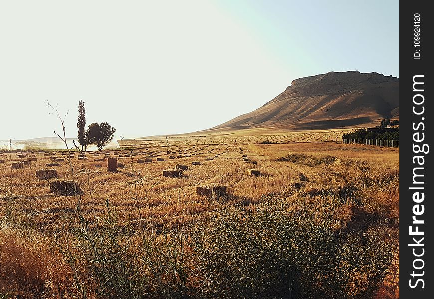 Brown Mountain and Brown Grass Field