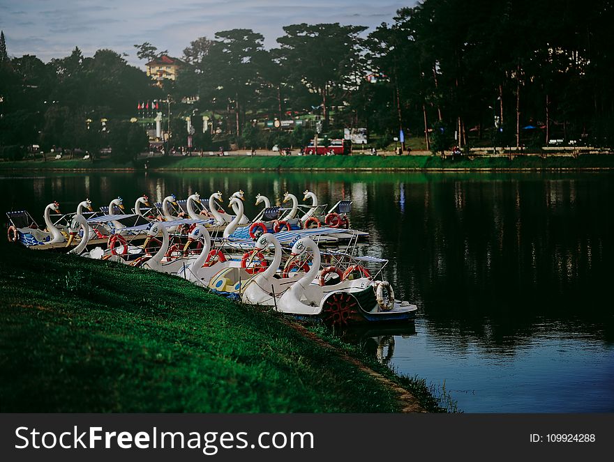 Swan Boat Docked on River