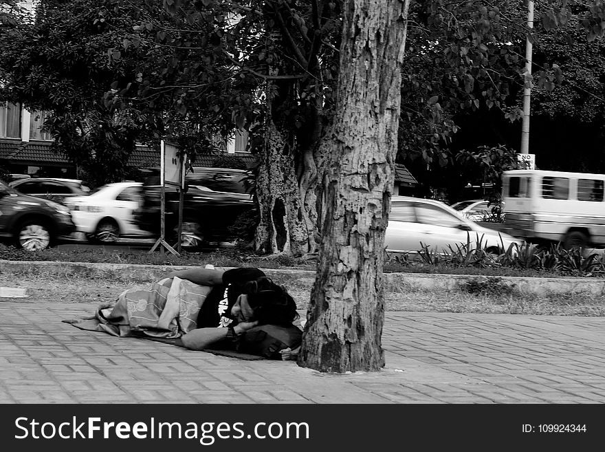 Grayscale Photo of Man Lying Beside Tree