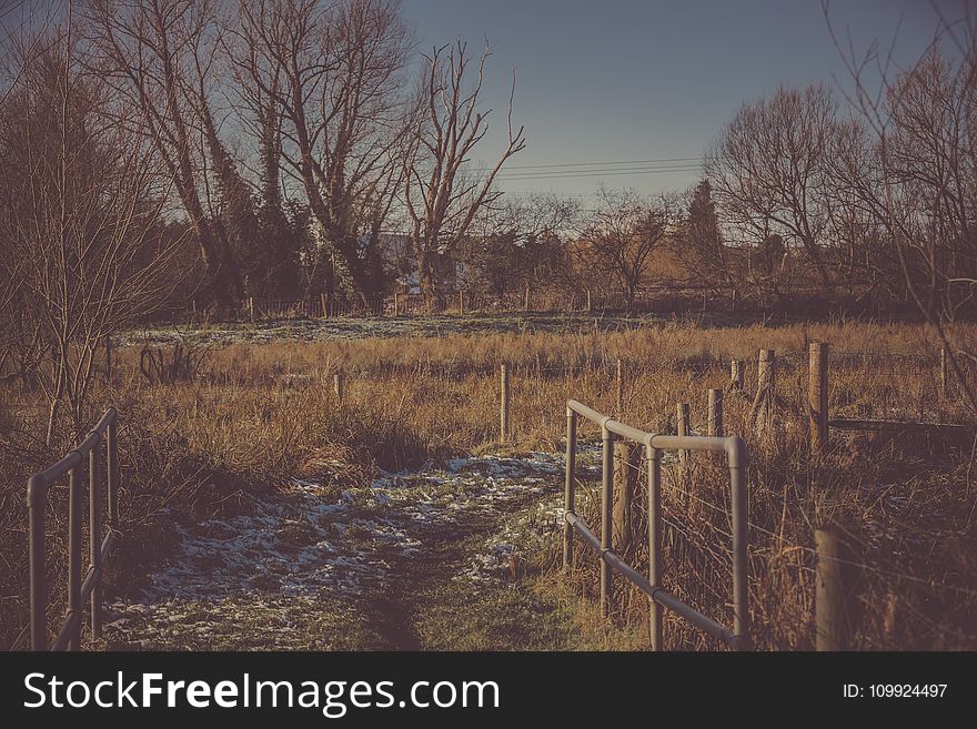 Person Taking Photo of Pathway With Grass Field in Sepia Photography