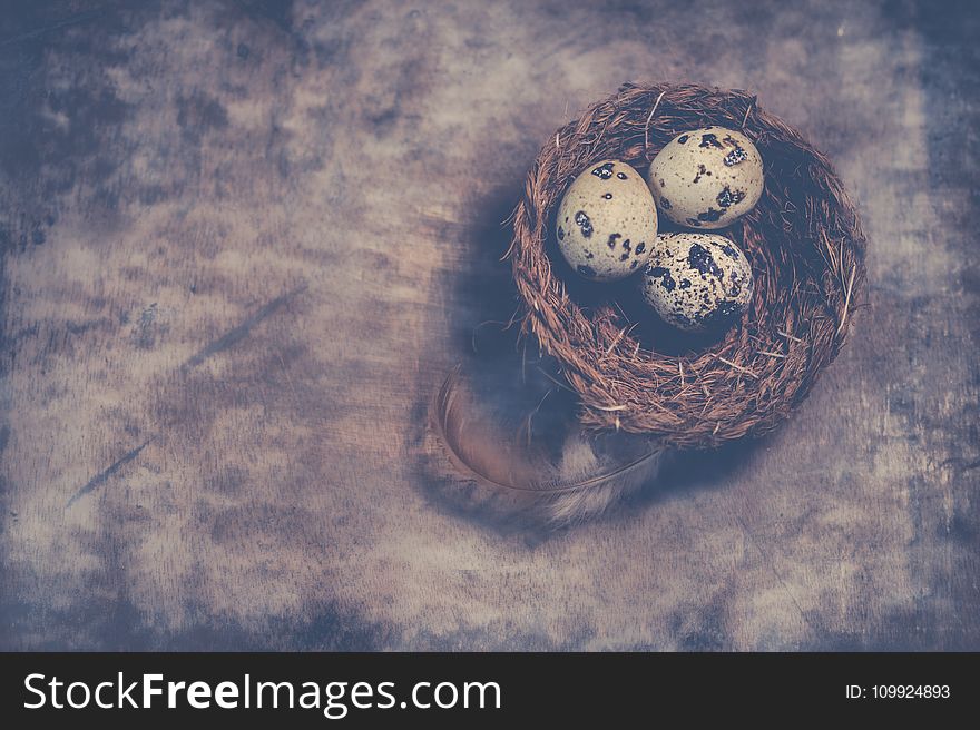 Close-Up Photography of Quail Eggs on Nest