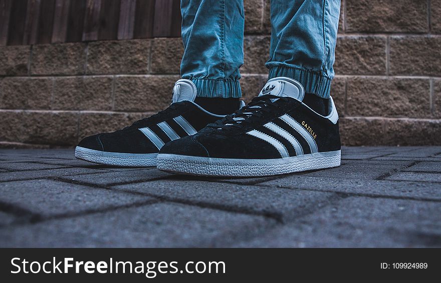 Person Wearing Pair of Black-and-white Adidas Gazelle