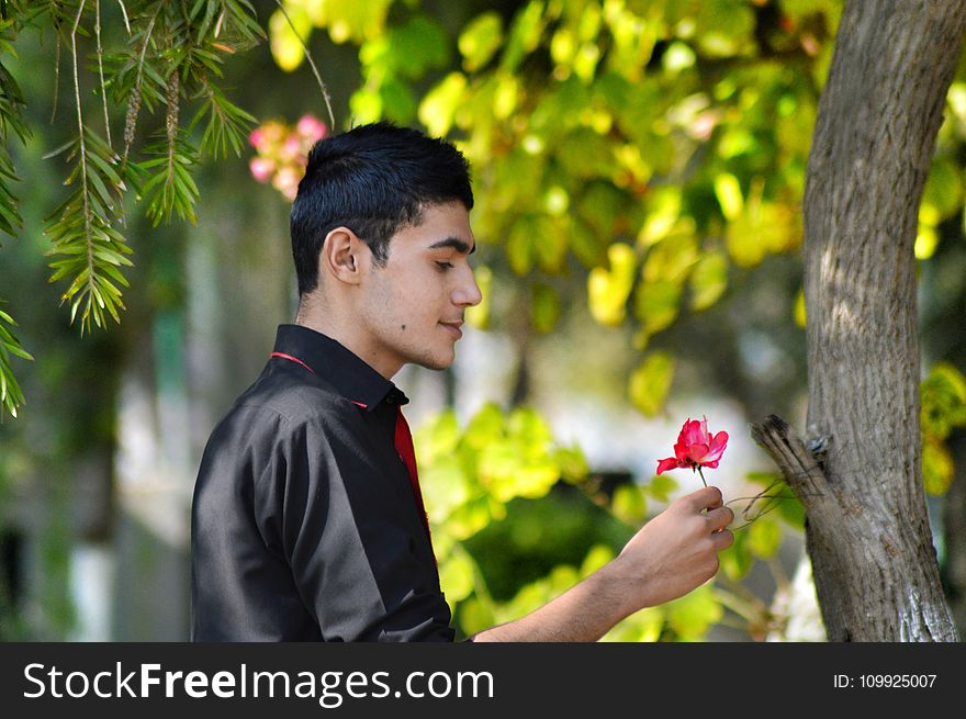 Man in Black Shirt Holding Red Petaled Flower