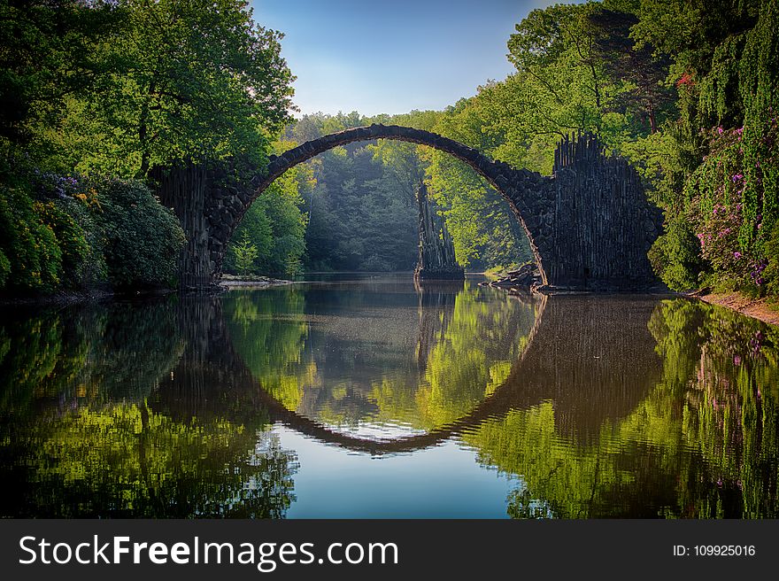 Gray Bridge and Trees