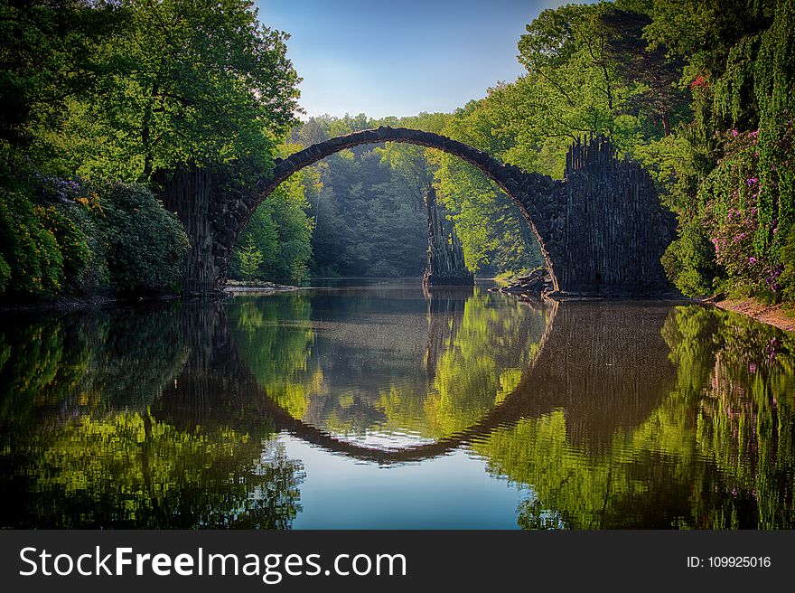 Gray Bridge And Trees