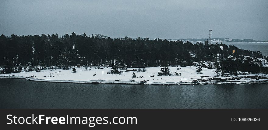 Photo Of Trees Near Body Of Water During Winter