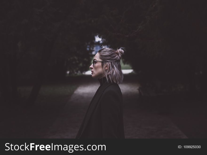 Woman Standing at the Middle of the Road Under Trees Lowlight Photography
