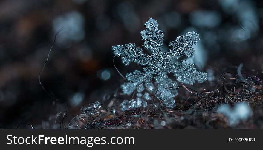 Macro Photography of Snowflake