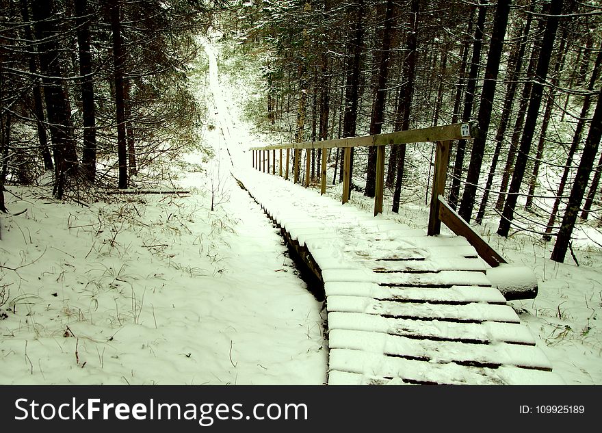 Brown Wooden Stairs Covered With Snow