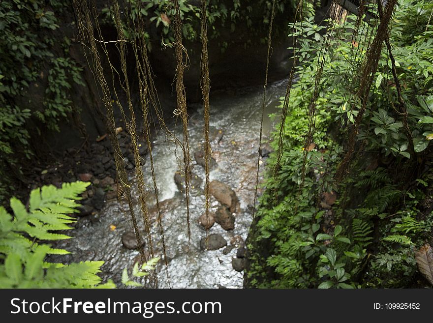 Photography of River With Rocks