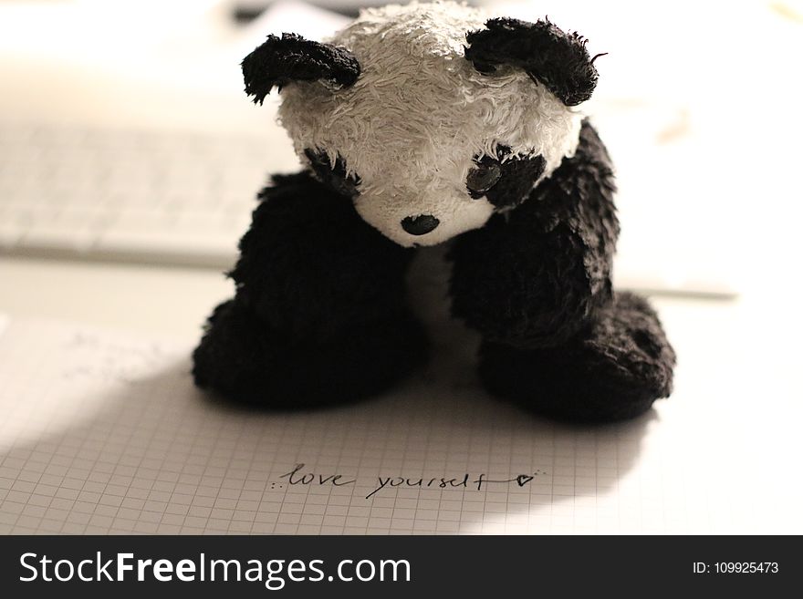 Panda Bear Plush Toy