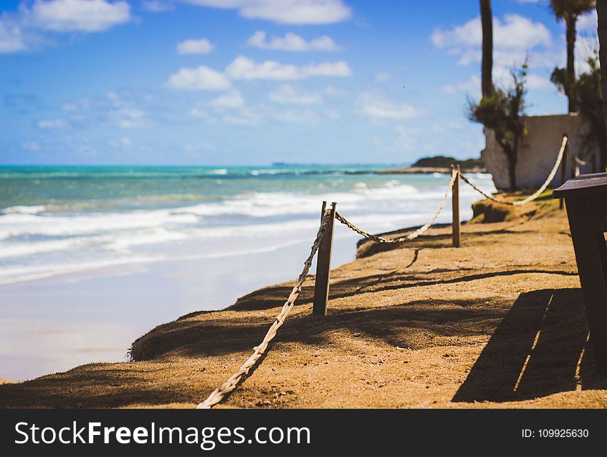 Wooden Posts Near Ocean Water