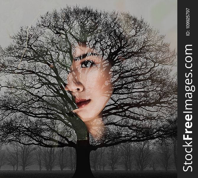 Woman&#x27;s Face With Bare Tree Artwork