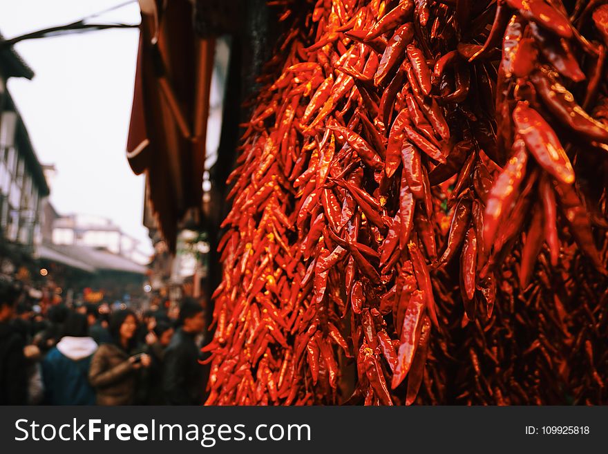 Red Chili Lot Photo