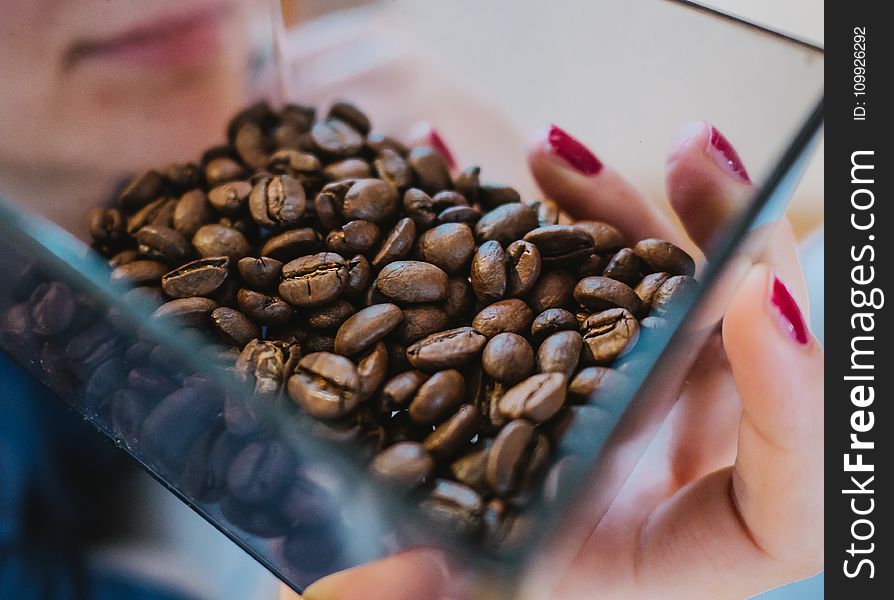 Person Holding Coffee Beans on Glass Bowl