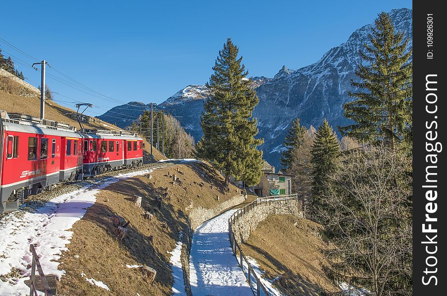 Moving Train With Mountain and Trees in Background