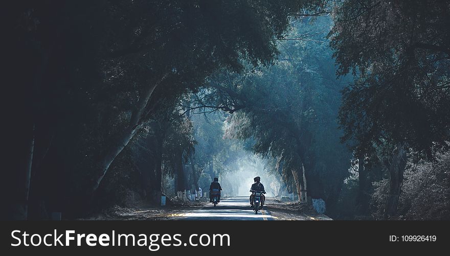 Two People Riding Motorcycle in the Middle of the Forest