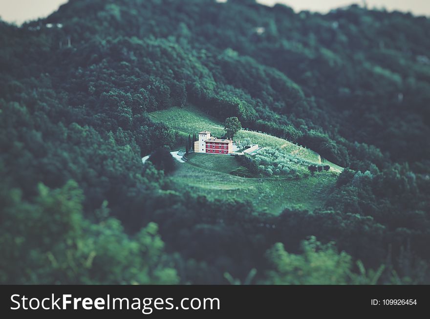Areal Photography of White Building Surrounded by Forest