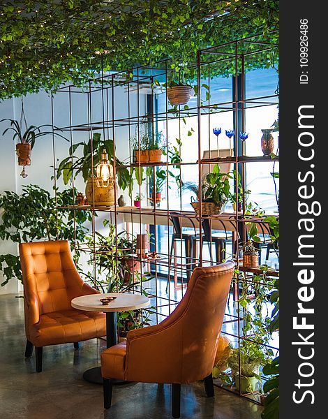 Photography Of Table And Chairs Near Plants