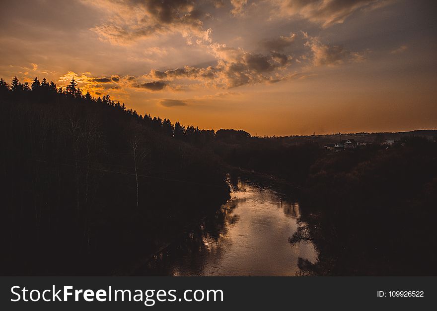 Silhouette of Trees Beside River