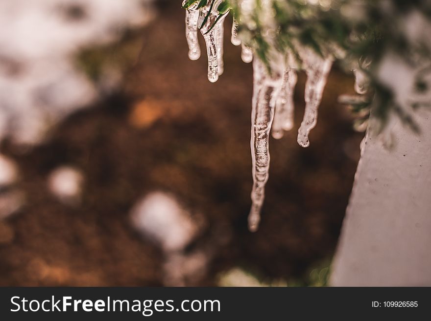 Close-Up Photography of Icicles
