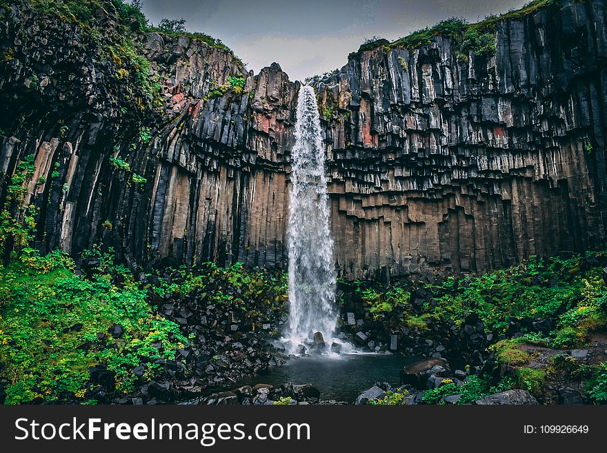 Waterfall Surrounded With Green Leaf Plant View