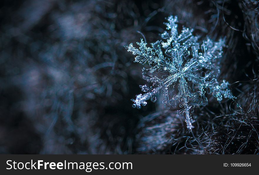 Close-up Photography of Snowflake