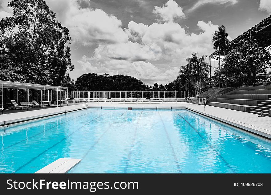 White Concrete Framed Swimming Pool Near Benches With Gate Surrounded By Trees