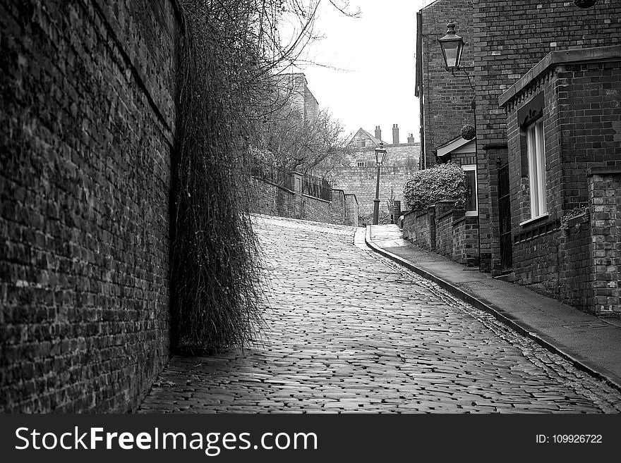 Greyscale Photography of Roadway Between Brick Wall and Houses
