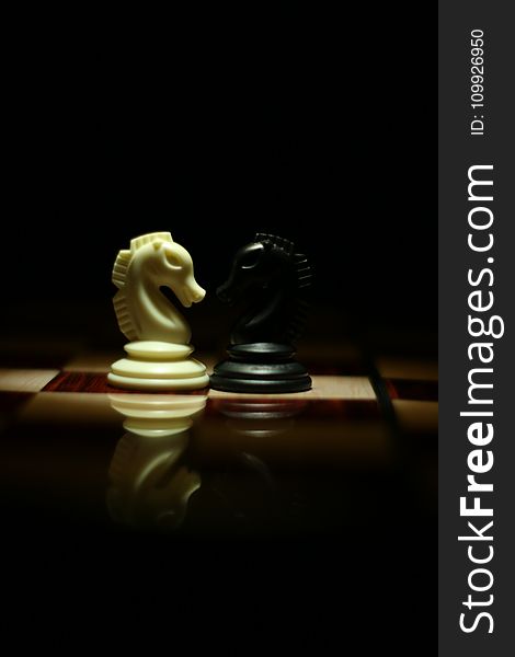 Two White and Black Chess Knights Facing Each Other on Chess Board