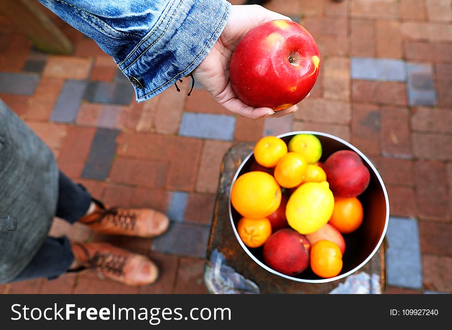 Person Holding Apple Fruit