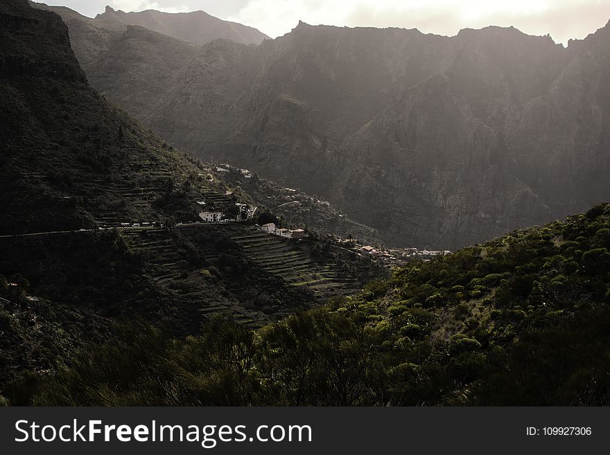 Green Trees Near Mountain at Daytime