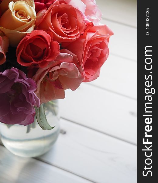 Shallow Focus Of Red And Pink Flowers