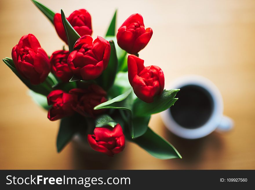 Red Tulip Bouquet Beside White Ceramic Cup Full of Black Liquid