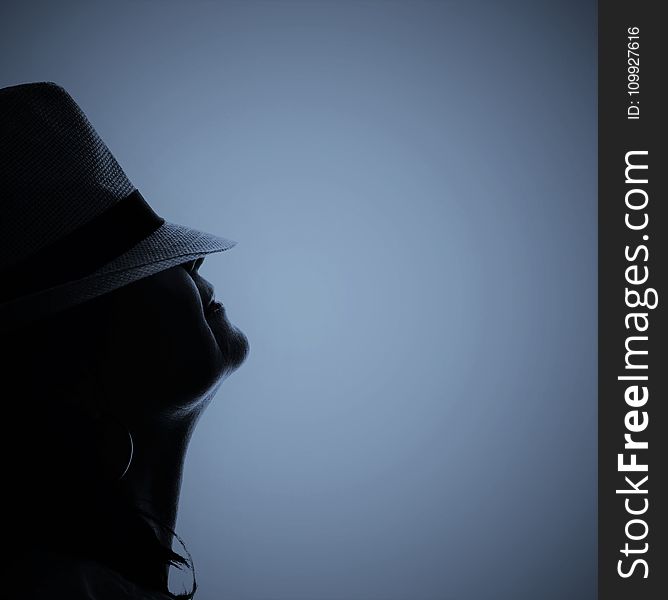 Silhouette Photo of Person Wearing Hat
