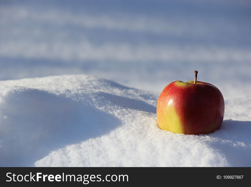 Selective Focus Photography of Red Apple on Snow