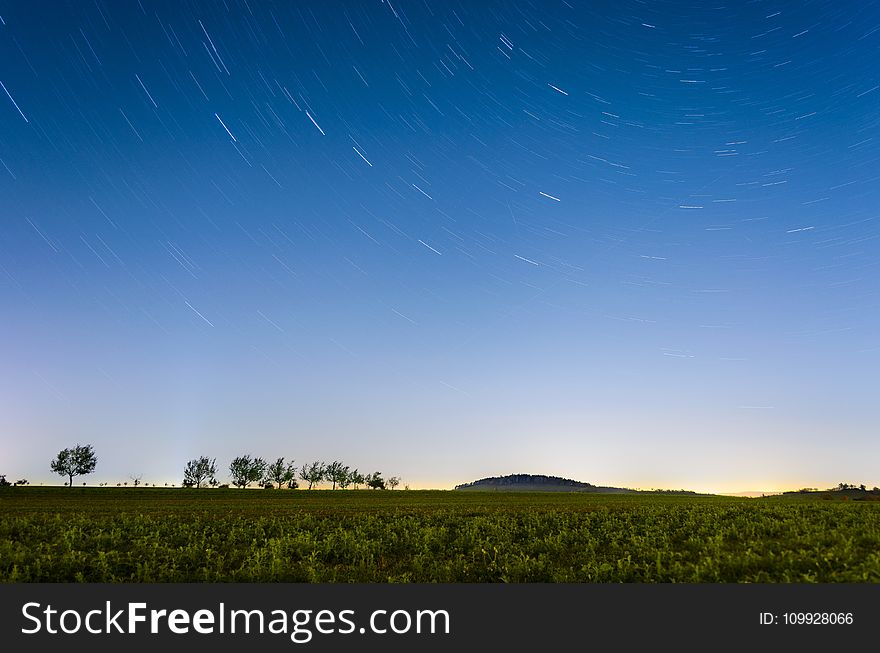 Time-lapse Photography of Field With Trees and Grasses