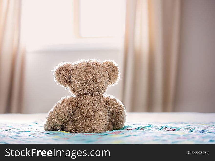 Brown Bear Plush Toy On Bed