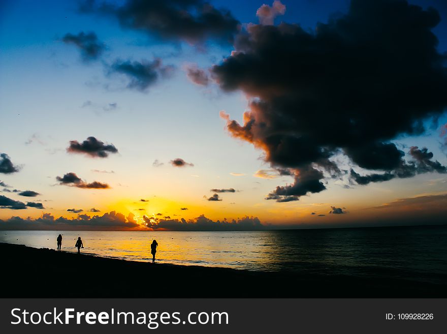 People Standing on Seashore during Sunset