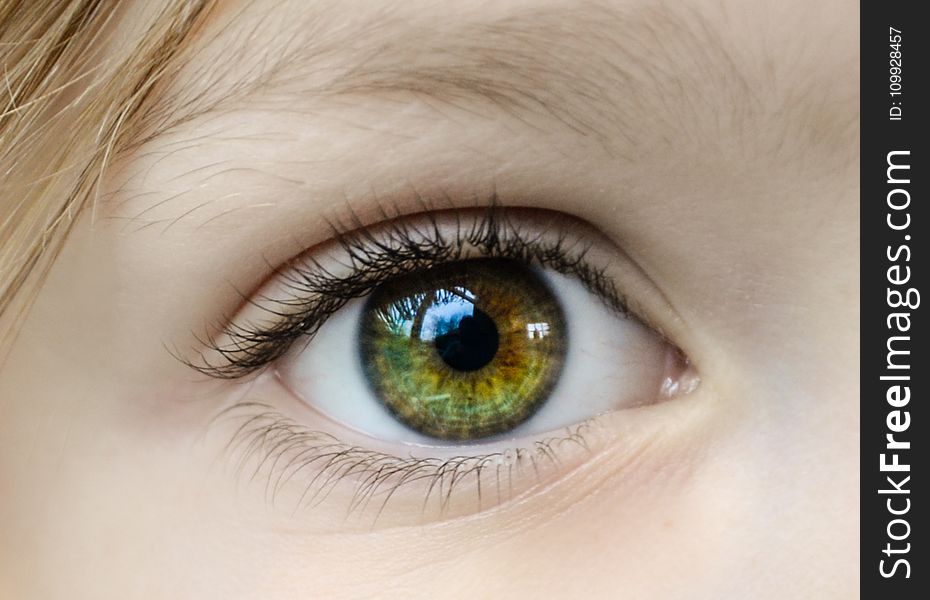 Closeup Photo of Human Eye
