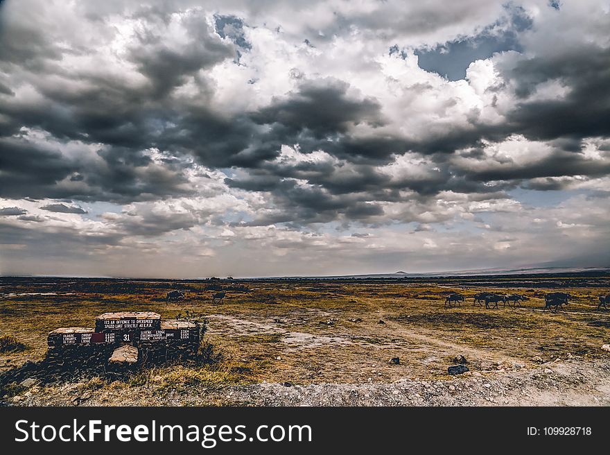 Photography of Cloudy Skies