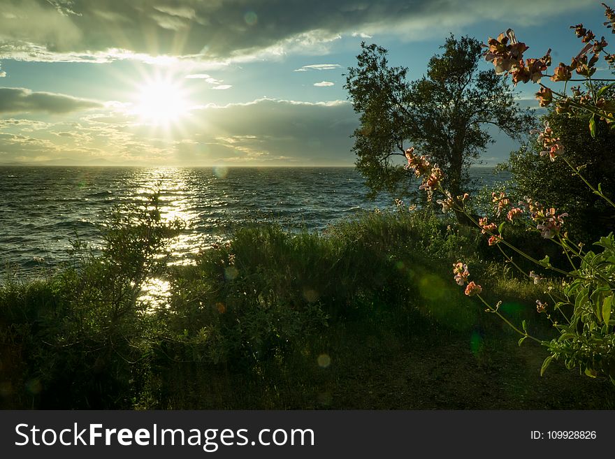 Sun Ray Hitting Body of Water Green Grass Trees White Clouds during Sunrise