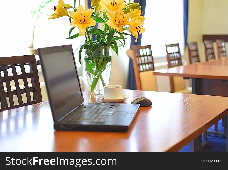 Business, Chairs, Coffee